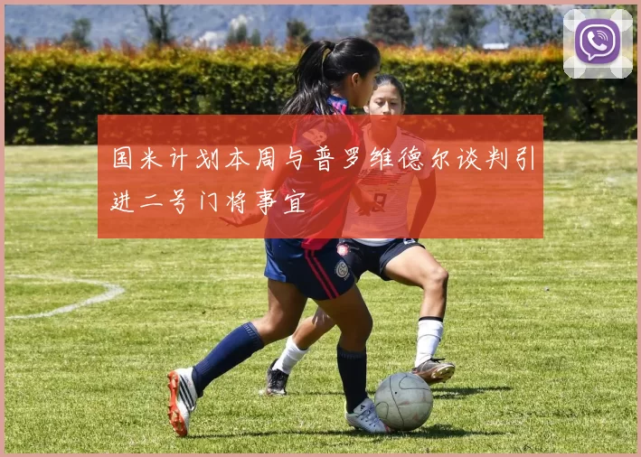 国米计划本周与普罗维德尔谈判引进二号门将事宜